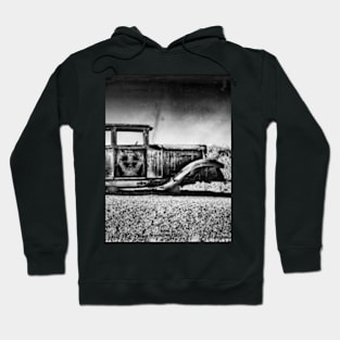 Rusting in Splendour. Hoodie